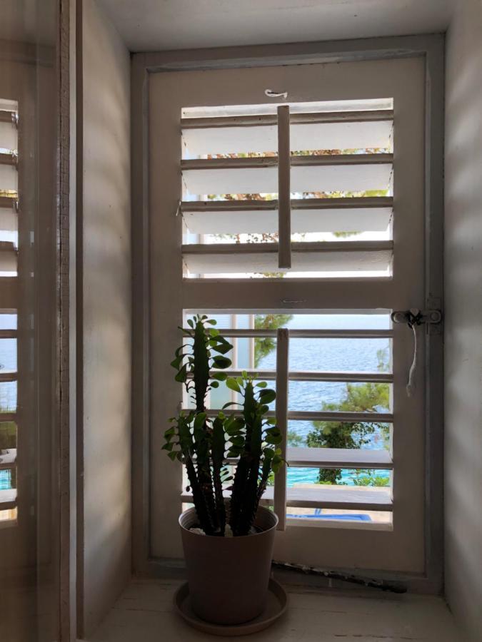 Apartment Rumenovic *